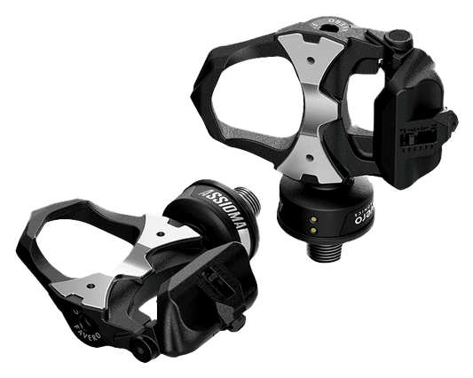 Wattmätare Assioma DUO