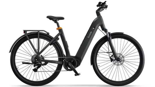 Ecoride Tripper 4 Remdrift