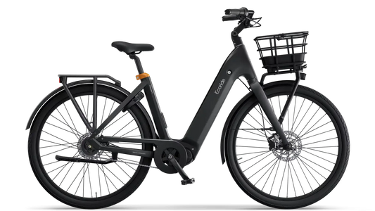 Ecoride Ambassador 4