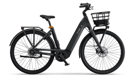 Ecoride Ambassador 4 Remdrift